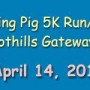 2013 Flying Pig Logo
