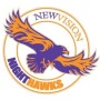 NewVisiionCS_circle_logo fit